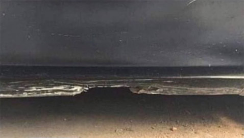 ماذا ترى في هذه الصورة؟.. وهم بصري يشعل مواقع التواصل!