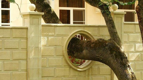 صور ملهمة.. عندما يحترم البشر الطبيعة