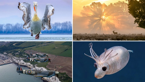 أفضل الصور الفوتوغرافية الرائعة والمذهلة في العالم لعام 2019