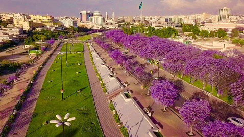 بالصور.. مدينة أبها بالسعودية تتحول إلى اللون البنفسجي وتتزين بحلة جديدة