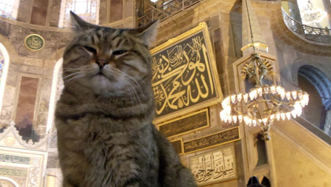  من هي 